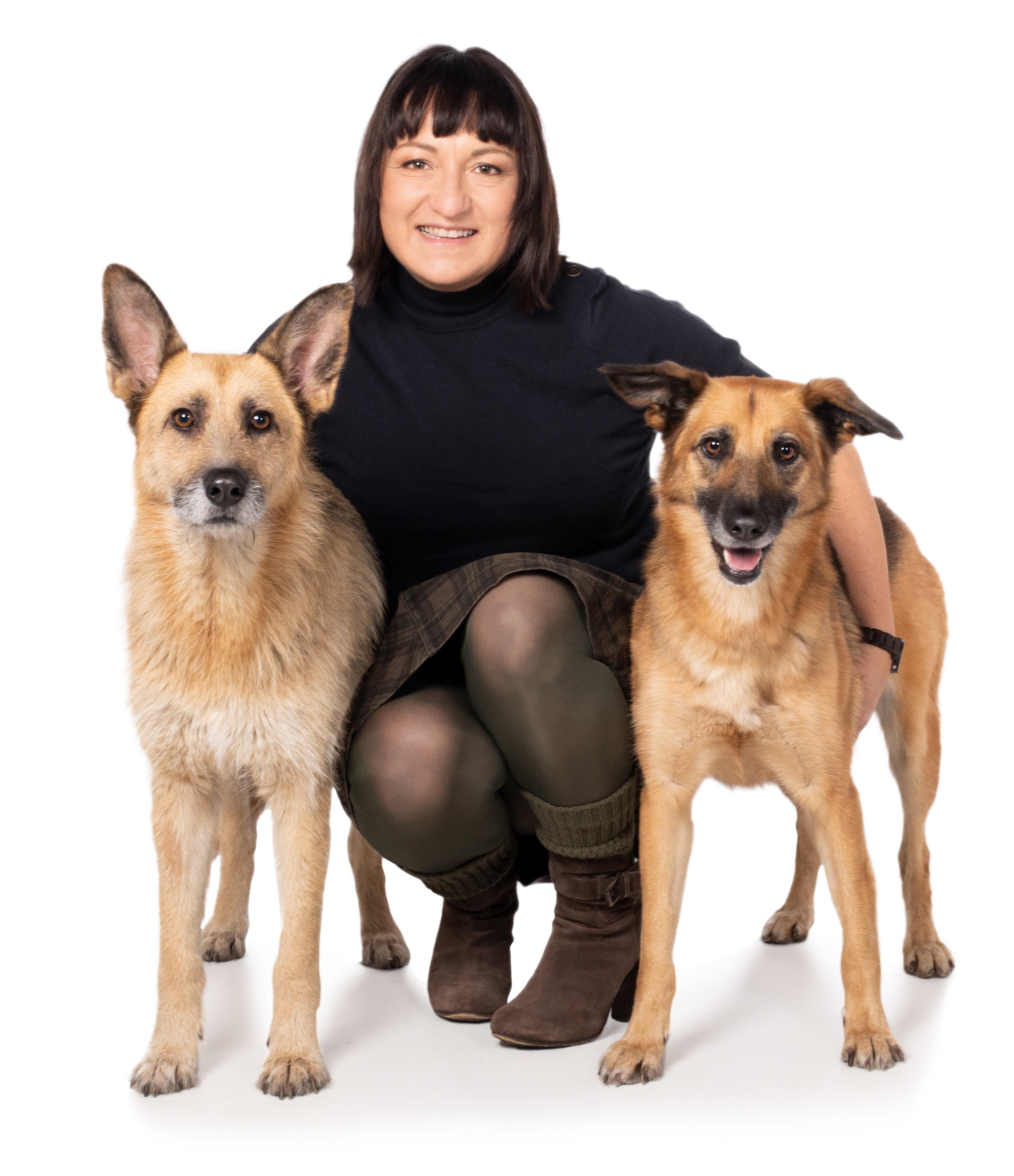 Zahnwechsel Beim Hund Infos Tipps Hilfe Fur Ihren Vierbeiner