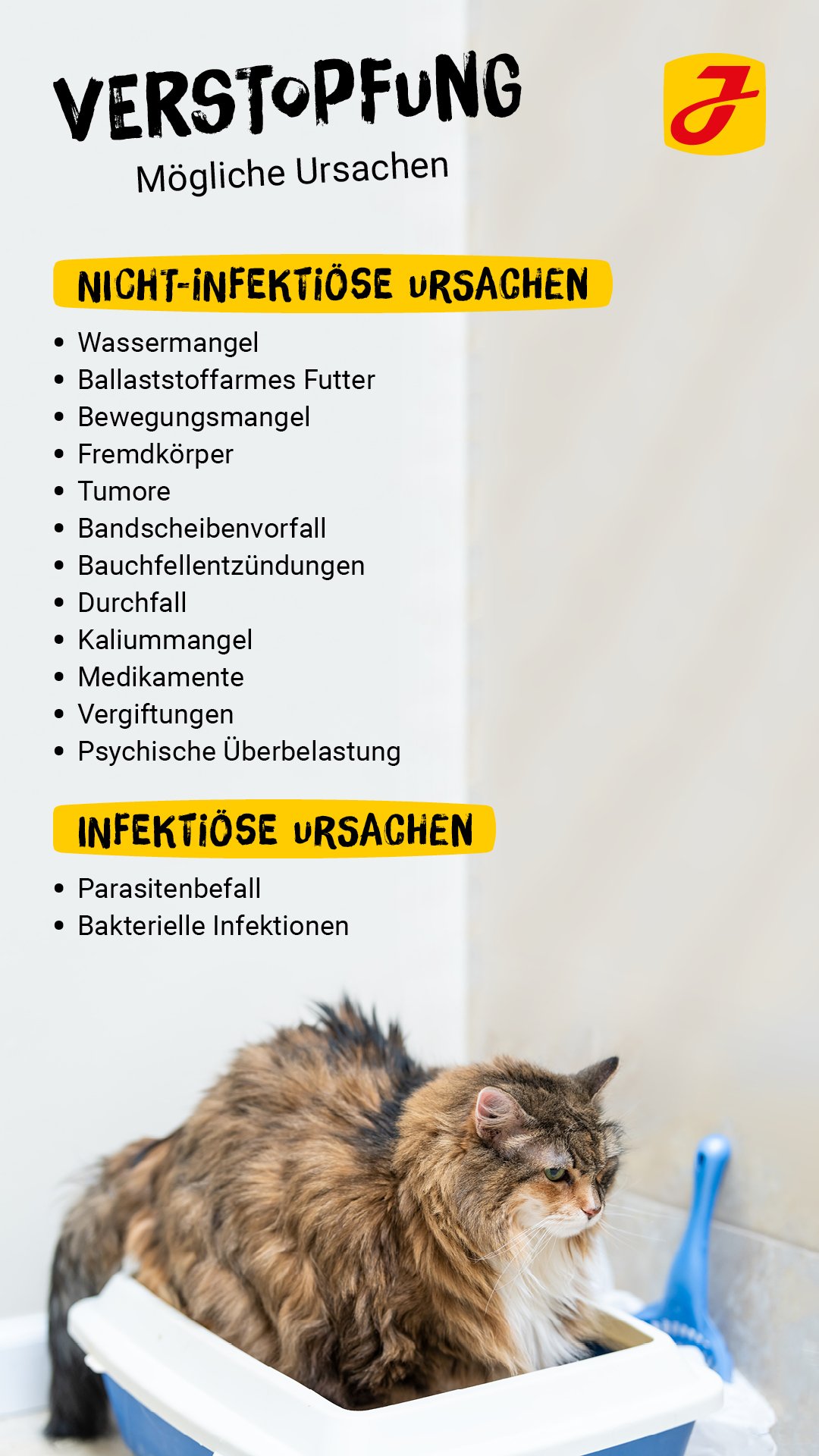 Katze Macht Kein Stuhlgang