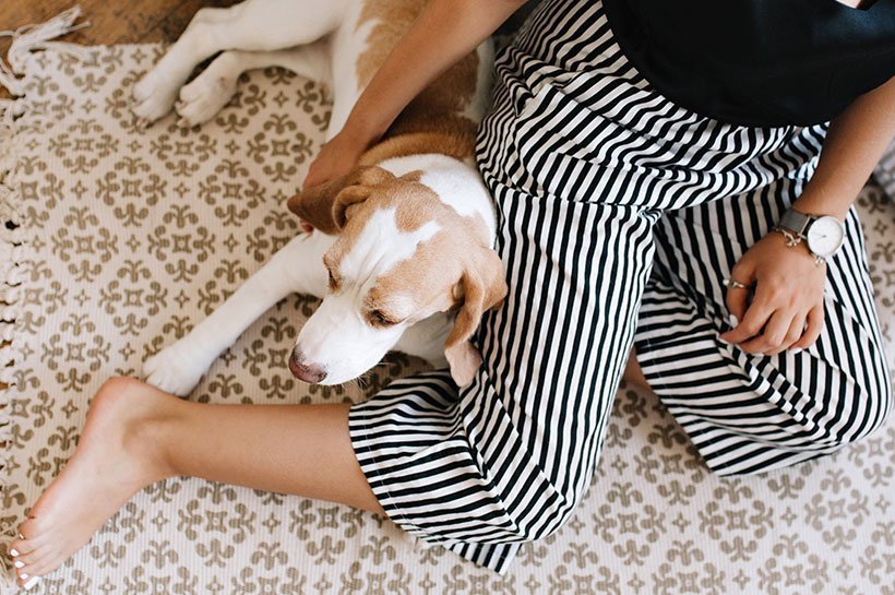 Hund und Mensch sitzen zusammen   