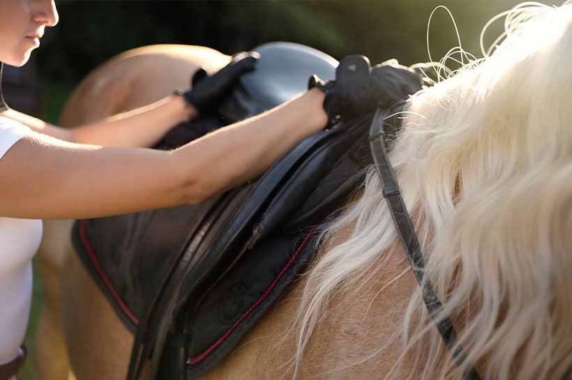 Pferd wird aufgesattelt 