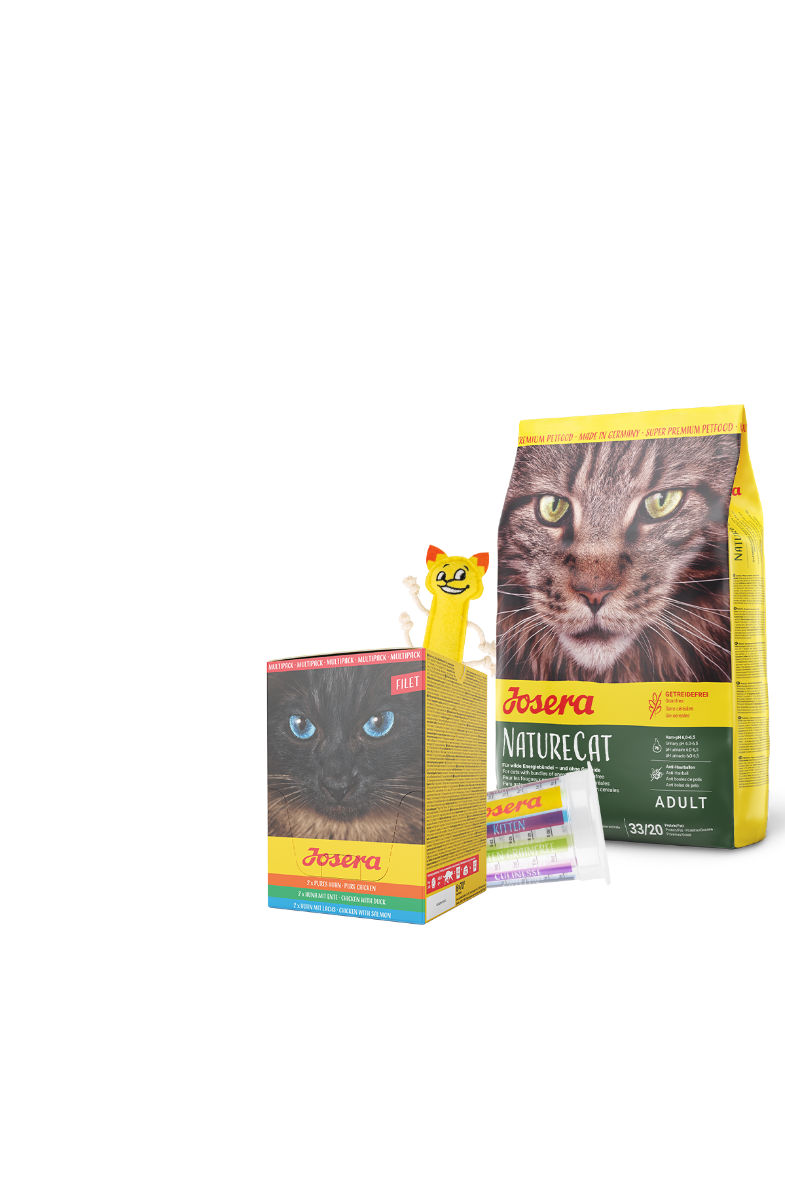 Probierpaket Getreidefrei