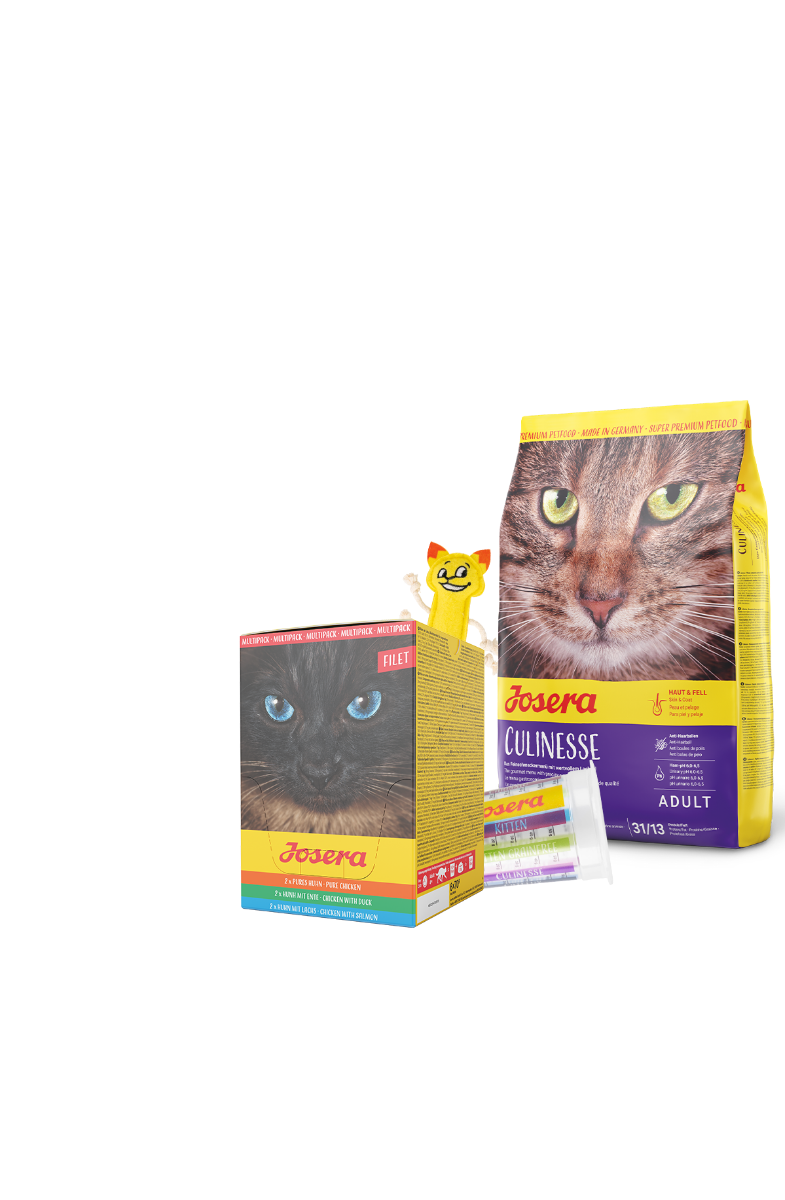 Probierpaket Indoor Katze