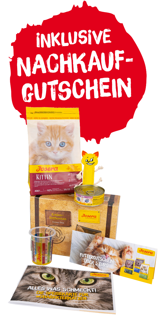 Kittenköfferchen