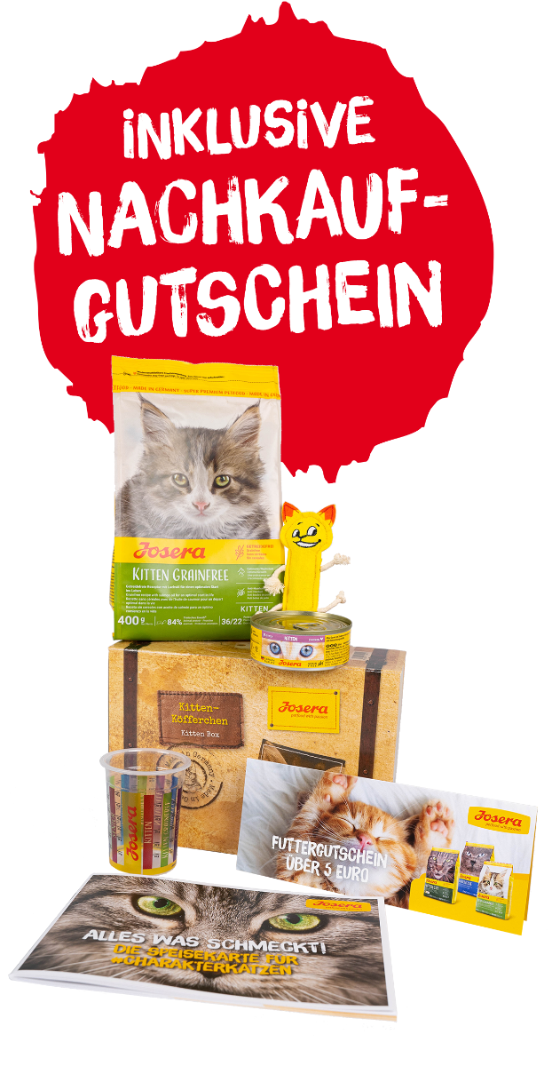 Kittenköfferchen grainfree