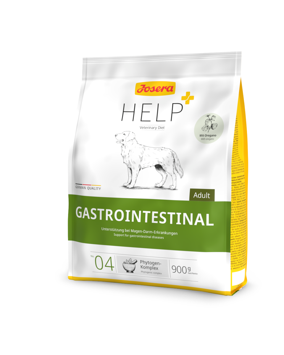 GastroIntestinal Hund