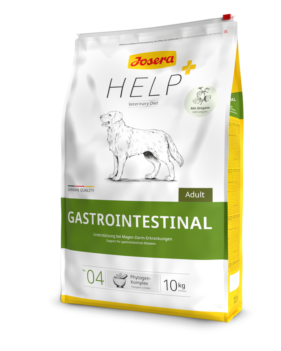 Help Gastro Dog dry