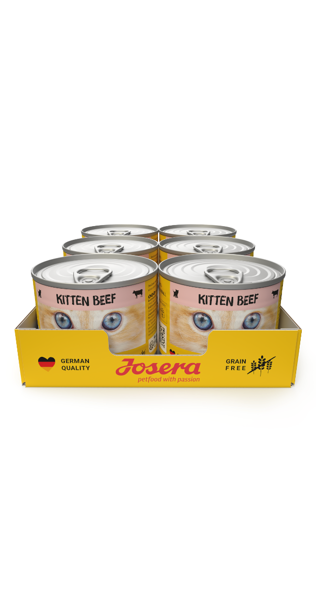 Josera Nassfutter Kitten Beef