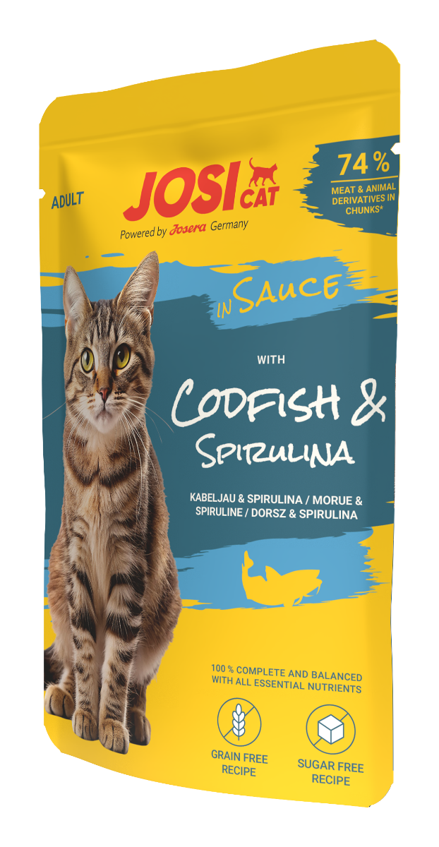 JosiCat with Codfish in Sauce