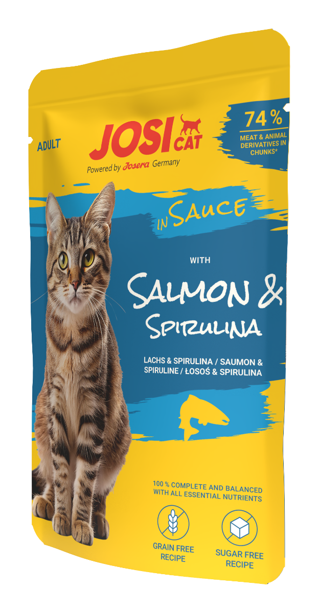 JosiCat with Salmon in Sauce