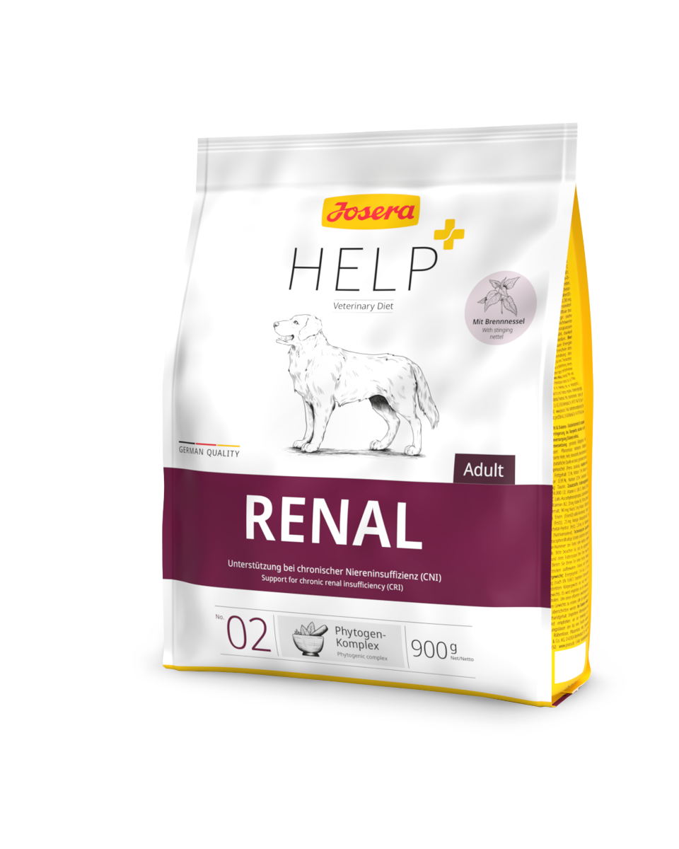 Renal Hund