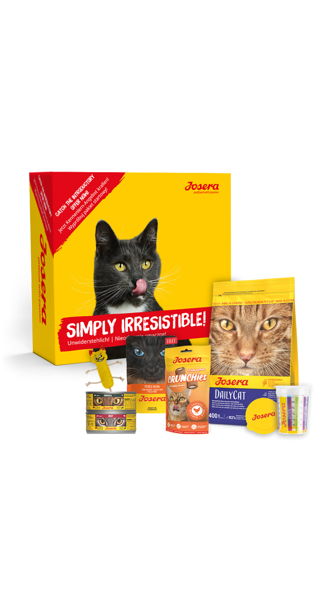 Probierpaket Daily Katze