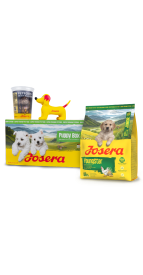 PUPPY BOX YOUNGSTAR