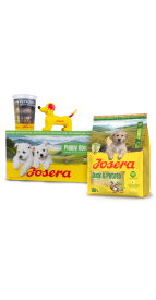 PUPPY BOX JUNIOR DUCK&POTATO