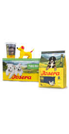 PUPPY BOX KIDS