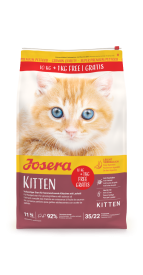 KITTEN