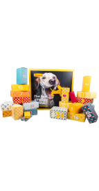 ADVENTSKALENDER HUND
