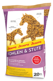 FOHLEN & STUTE