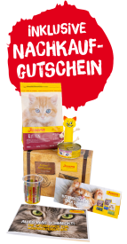 Kittenköfferchen
