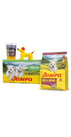 PUPPY BOX MINI JUNIOR DUCK&SALMON