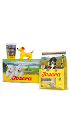 PUPPY BOX SENSIJUNIOR