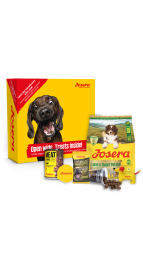 PROBIERPAKET LAMM HUND