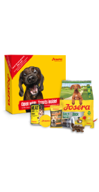 PROBIERPAKET DAILY MENU DUCK HUND