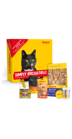 PROBIERPAKET DAILY KATZE