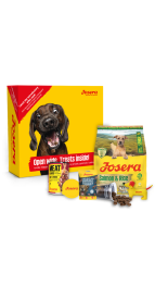 PROBIERPAKET SENIOR HUND