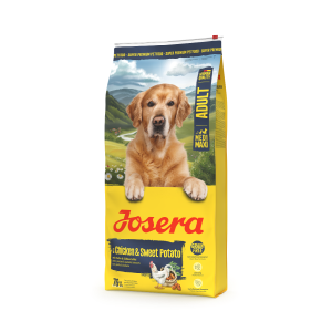 MEDI/MAXI CHICKEN & SWEET POTATO