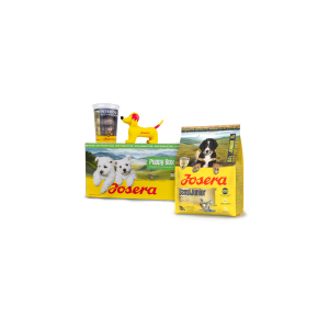 PUPPY BOX SENSIJUNIOR