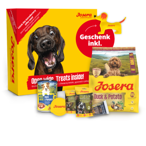 PROBIERPAKET MINI GETREIDEFREI HUND