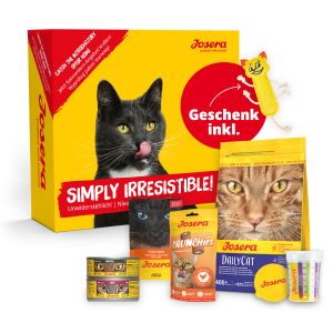 PROBIERPAKET DAILY KATZE
