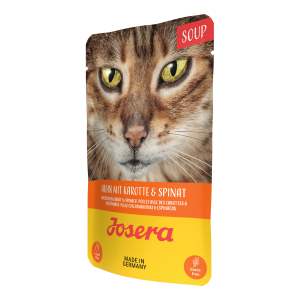 SOUP HUHN MIT KAROTTE & SPINAT