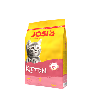 JOSICAT KITTEN