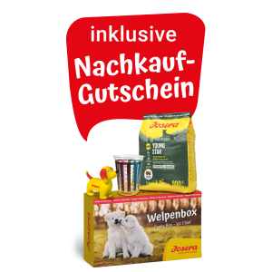 Welpenbox YoungStar 900g