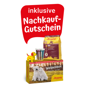 Welpenbox Kids 900g