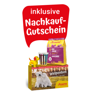 Welpenbox MiniJunior 900 g