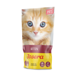 PATÉ KITTEN
