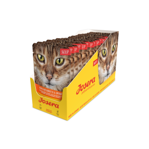 SOUP HUHN MIT KAROTTE & SPINAT