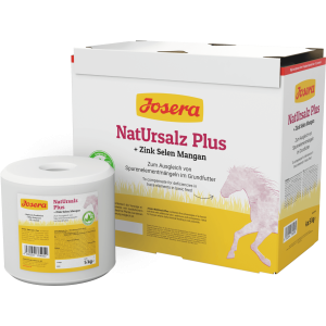 NATURSALZ PLUS