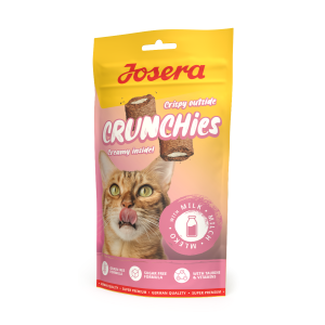 CRUNCHIES WITH MILK