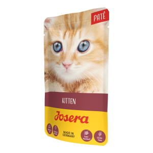 PATÉ KITTEN
