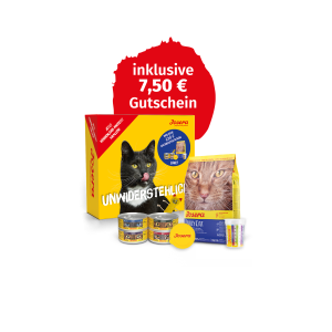 PROBIERPAKET DAILY