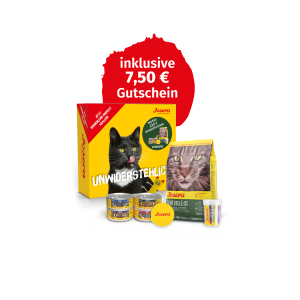PROBIERPAKET GETREIDEFREI KATZE