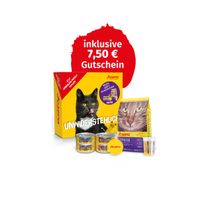 PROBIERPAKET INDOOR