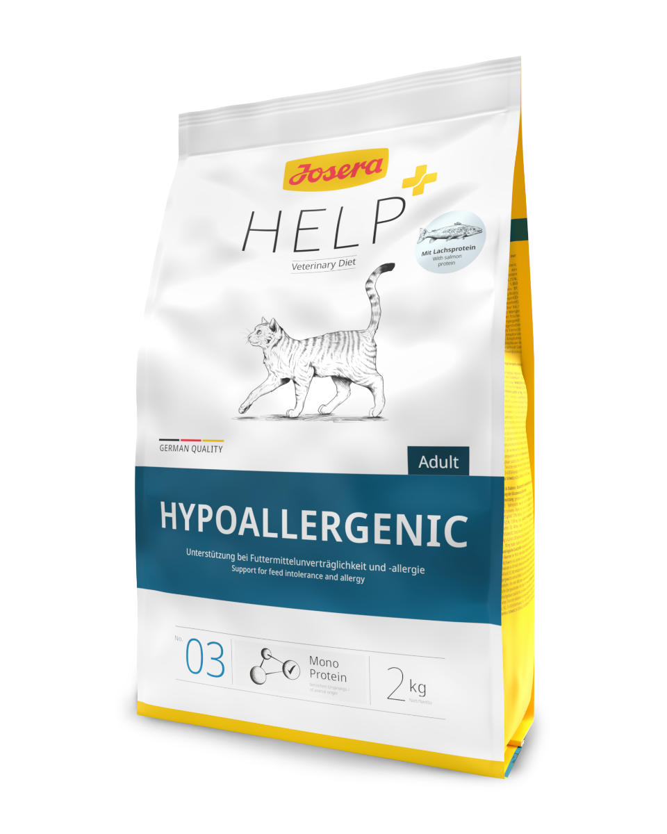 Hypoallergenic Katze