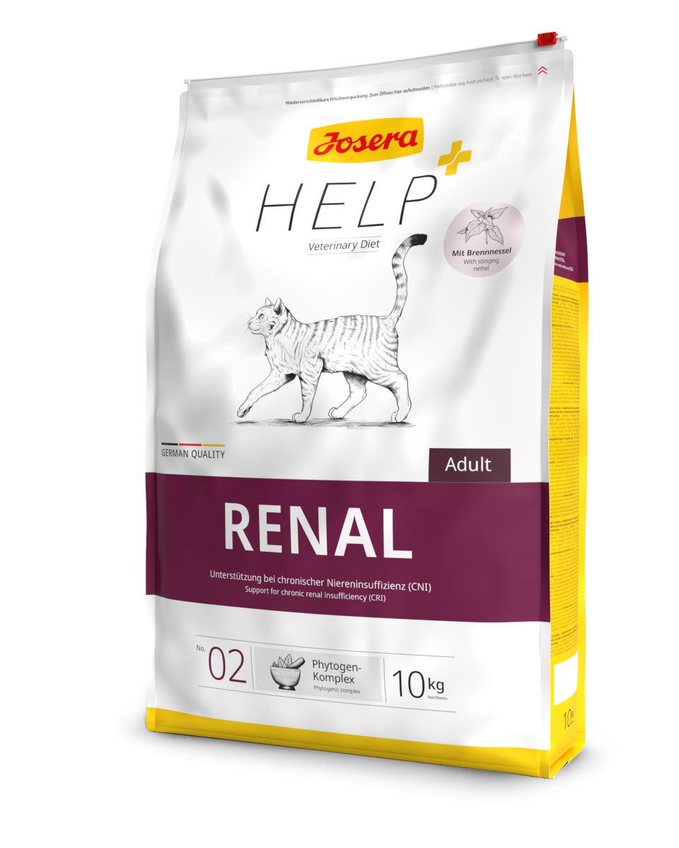 Renal Katze