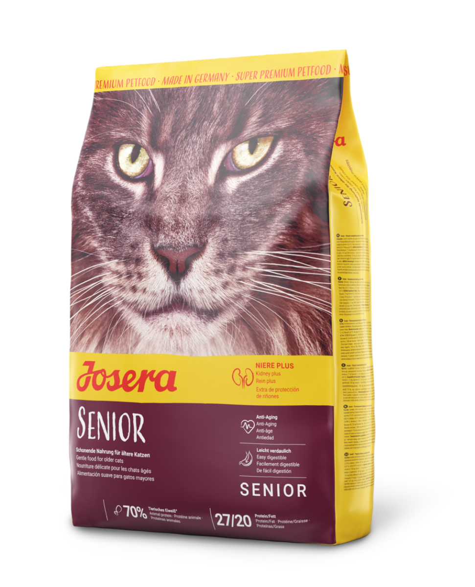 Senior Katze