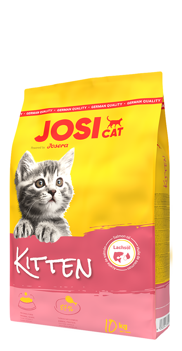 JosiCat Kitten
