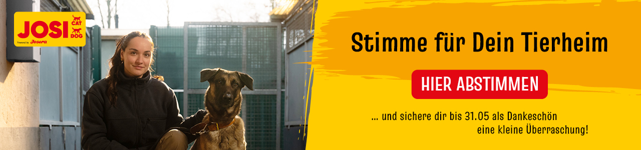 Josi Tierheim-Aktion: Abstimmen und Gewinnen 